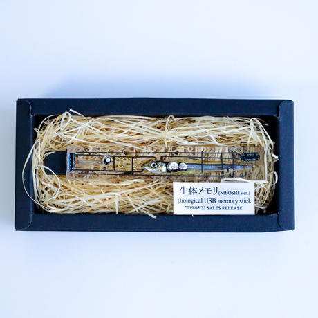 生体メモリ(64GB) Biological USB memory stick