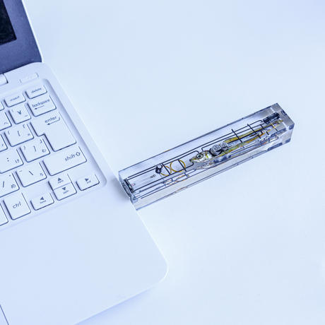 生体メモリ(64GB) Biological USB memory stick