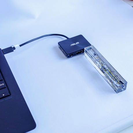 生体メモリ(64GB) Biological USB memory stick