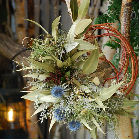 ドライリース Stores