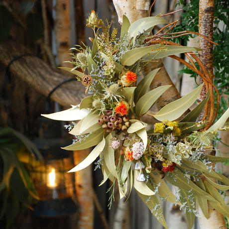 ドライリース Stores