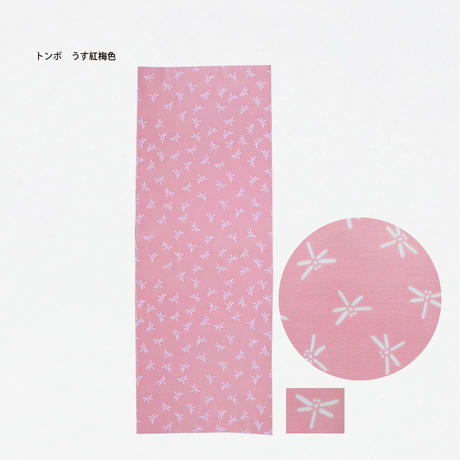 5ea2457034ef011fab190a03