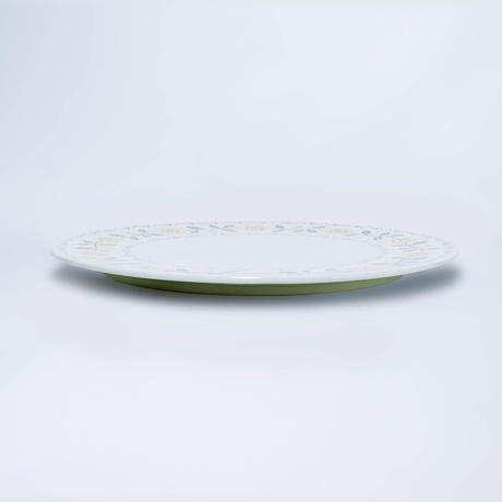 5b5010bd5496ff02cd000092