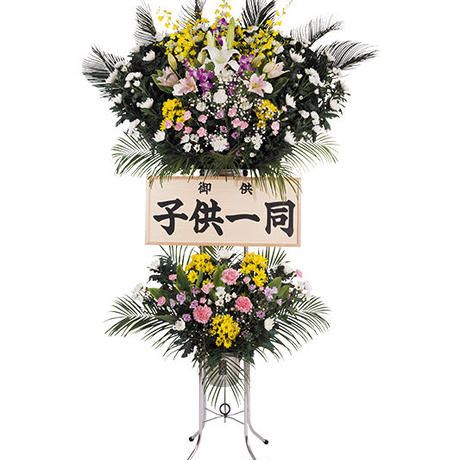 5a61c419ed05e6628a000177