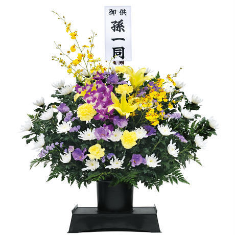 5a65483a3210d548db00006f
