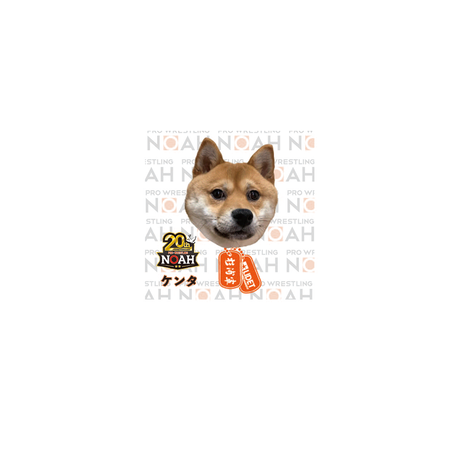 5e15a9f36c7d63489fed2603