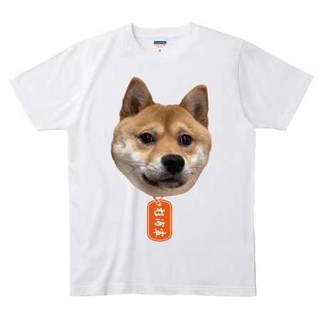 5e717df4e20b040ee84d6473