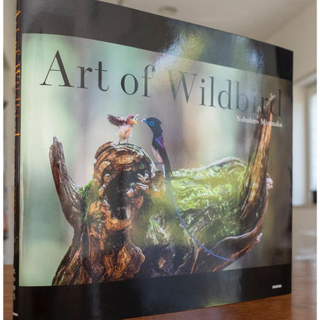 ポストカード  日本画 水墨画 墨絵 新作 セーラー服 ポストカード 日本画 水墨画 墨絵 新作 セーラー服