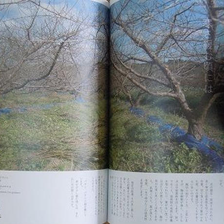 5bdd2546a6e6ee05ad00001f