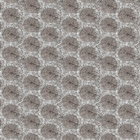 5ea0fc8934ef01080e07c8b8