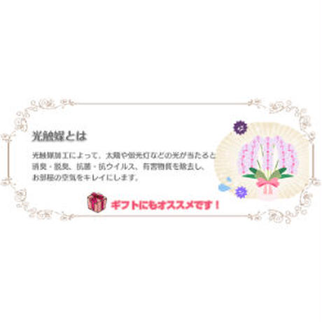 5ea14489cee9ea7d4dd5cb73