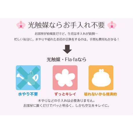 5ea1438c34ef013e4d8c022c