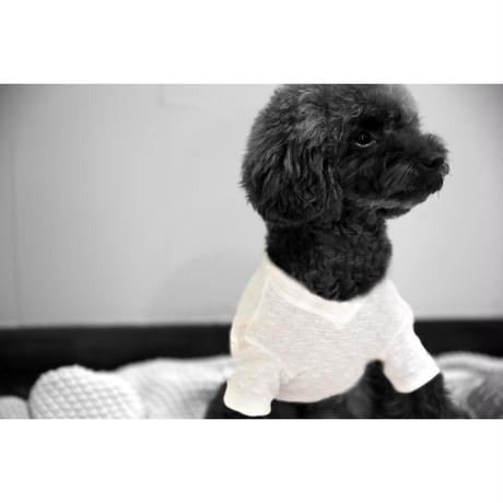 589040caa458c0a8fc000634