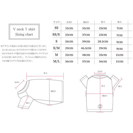 5ae4094b434c725a5b00086d