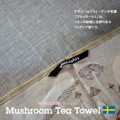 595cf4a9b1b61924a800311f