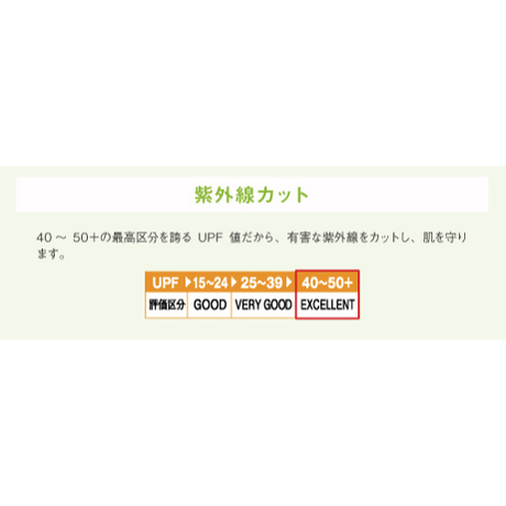 586b255c1003150a66001adc