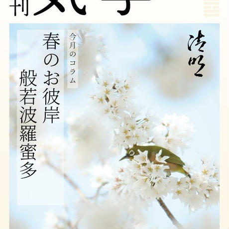 5e6ca748e20b0416659a5748