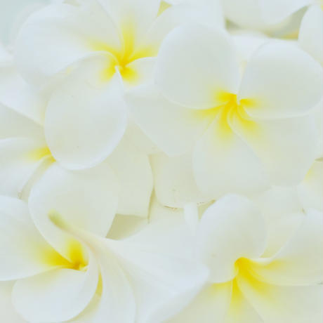 5bc5fe2fef843f03ab000737