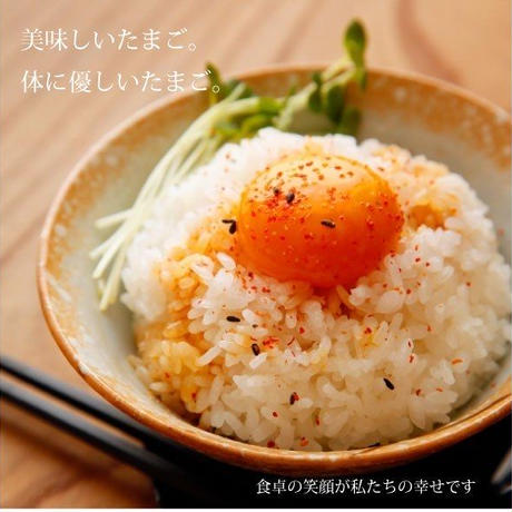 565e9464ef3377538b0001e1