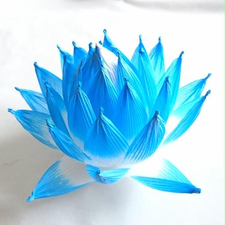 5f0c50dddf62a9634f0dd341