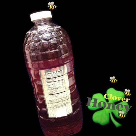 55b893d93cd48216cc0006a1