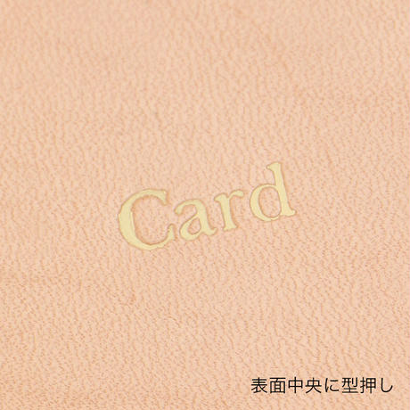 5c55c8933b63653e0b7fd883