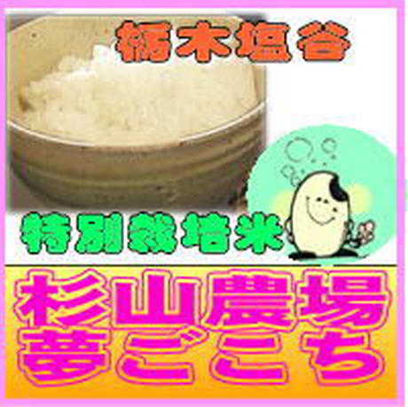 粘りの強いお米 Stores