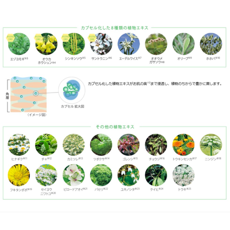 5eca1d2acee9ea6070f251b6
