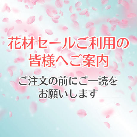 5e3bbe5994cf7b610c18d5c6