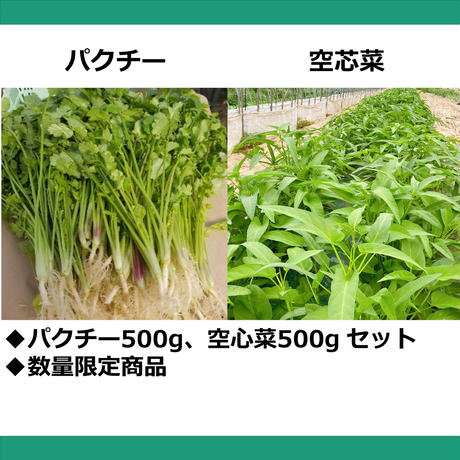 5ec3488f515762565de1fa28