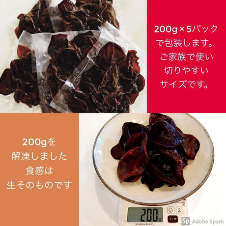 5bce89055f786606c900051d
