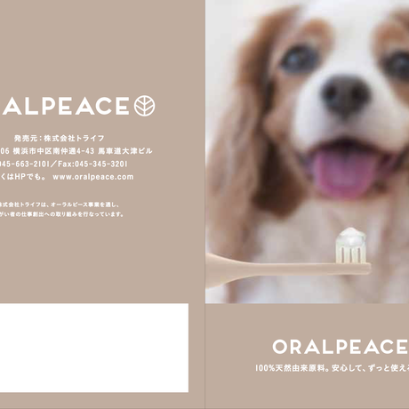 5c4eae8d6870245192f1722a
