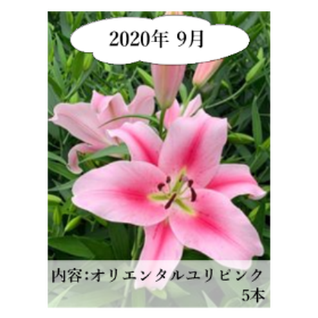 5ee80e0fd26fa57dca52c7dd