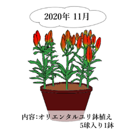 5ee80e0fd26fa57dca52c7dd
