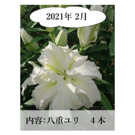 5ee80e0fd26fa57dca52c7dd