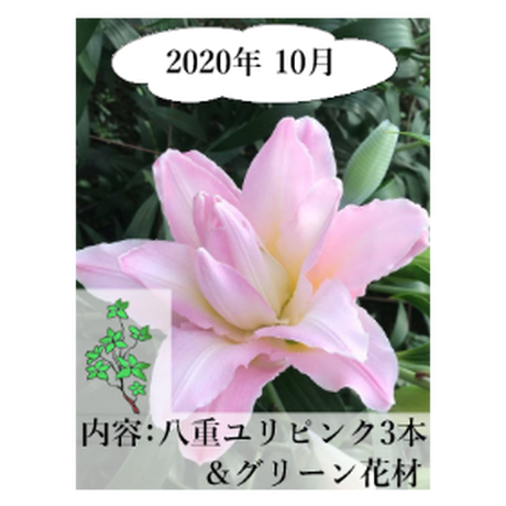 5ee80e0fd26fa57dca52c7dd