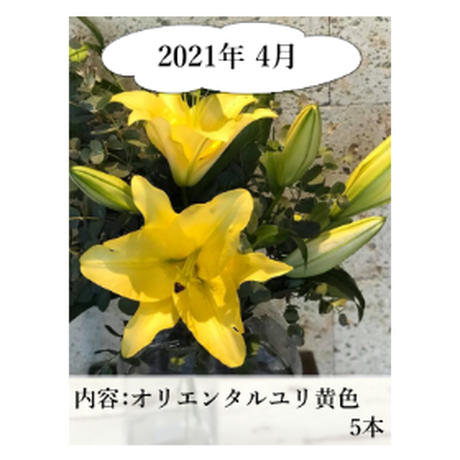 5ee80e0fd26fa57dca52c7dd