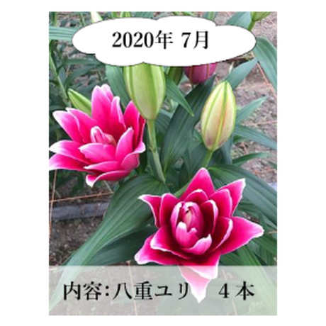 5ee80e0fd26fa57dca52c7dd