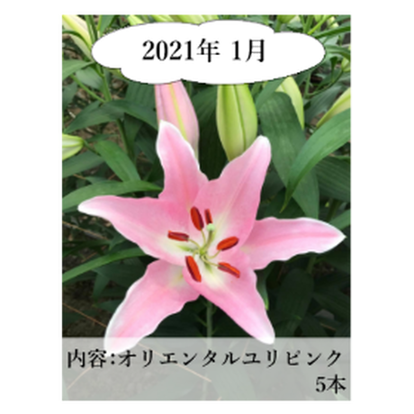 5ee80e0fd26fa57dca52c7dd