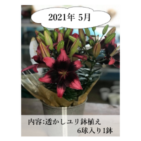 5ee80e0fd26fa57dca52c7dd