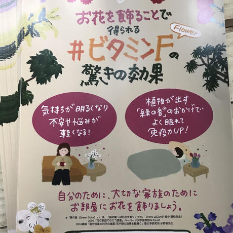 55f638e53cd4824a9900414c