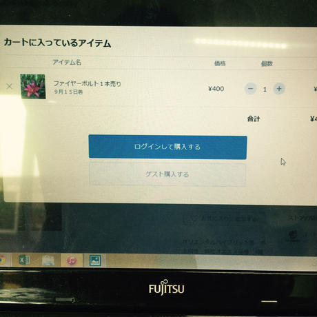 55f638e53cd4824a9900414c