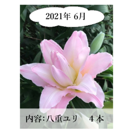 5ee80e0fd26fa57dca52c7dd