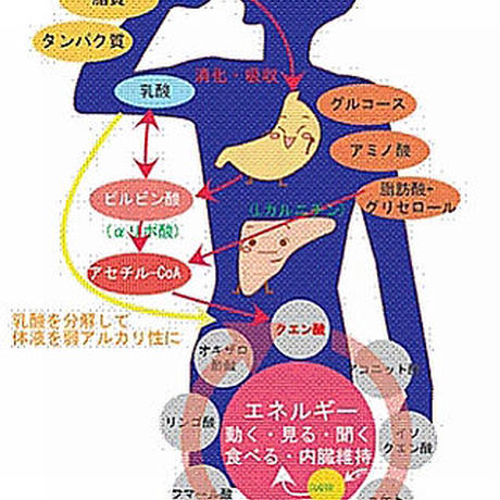 5b2c914150bbc3727d0001a5