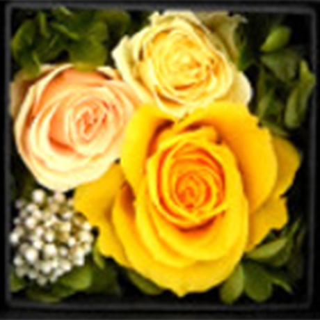 5f642c43fbe5b535909b9e76