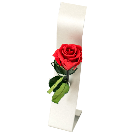 5f6bff1afbe5b56aefda9657