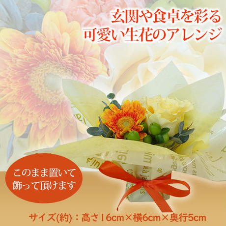 5b7d17dd50bbc35c3100045f