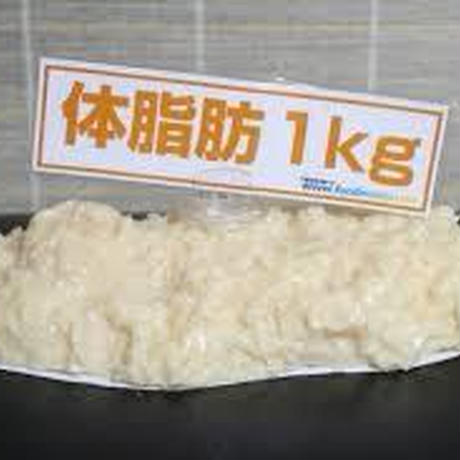 5d957ae09658032536262de3