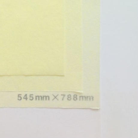 520477eea95dcb006800017b