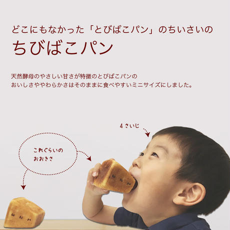 5e51fe3ec78a53254e417f32